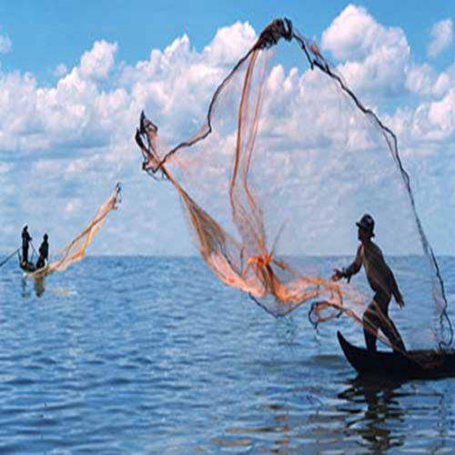 Chai-luoi-chai-quang-ca-2.png