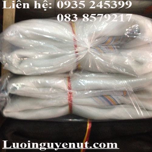 luoi-trong-rau-luoi-che-con-trung-luoi-vi-tinh.png