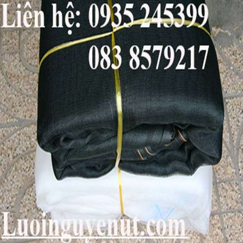 luoi-trong-rau-luoi-che-con-trung-luoi-vi-tinh-2.png