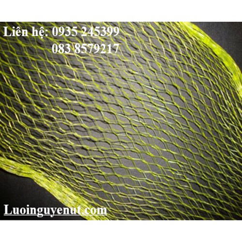 luoi-trai-cay-1.png