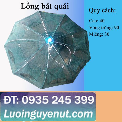 long-bat-quai-1.jpg