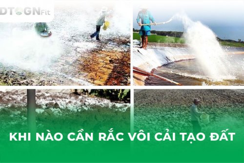 cai-tao-dat-voi-91025.jpg