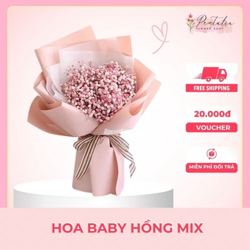 Hoa-baby-hong-mix.jpg