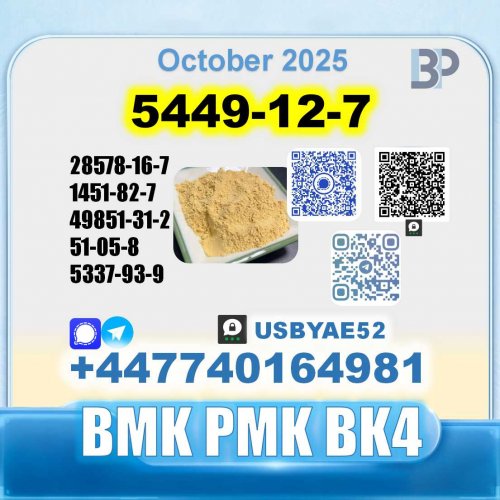 5449-12-7 BMK PMK (8).jpg