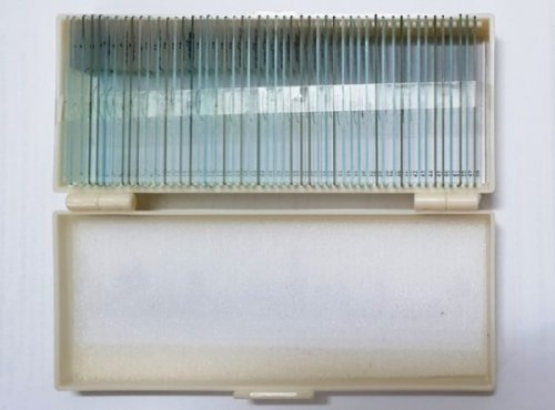 TieuBan-KHV-50-02-600x443.jpg