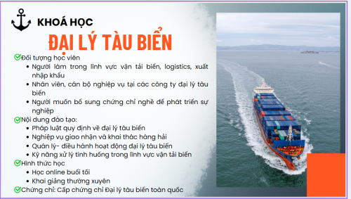 khoá học đại lý tàu biển.png