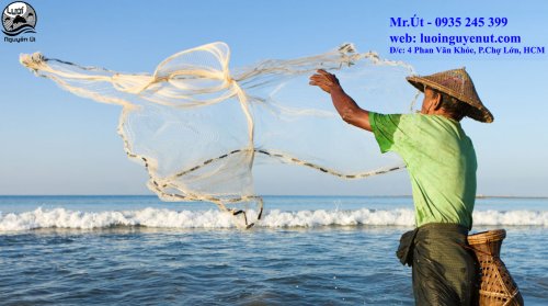chài cá.jpg