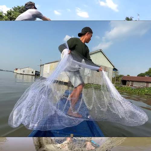 chai-ca-luoinguyenut (3).jpg