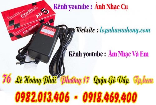 nguon-adapter-adaptor- organ (2).jpg