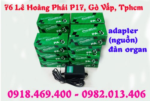 nguon-adapter-adaptor- organ (9).jpg