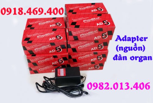 nguon-adapter-adaptor- organ (10).jpg