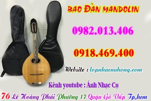 bao dan mandolin (1).jpg