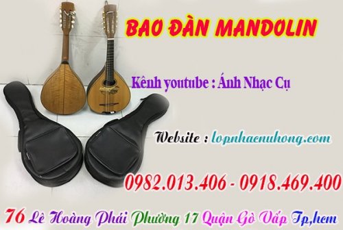 bao dan mandolin (2).jpg