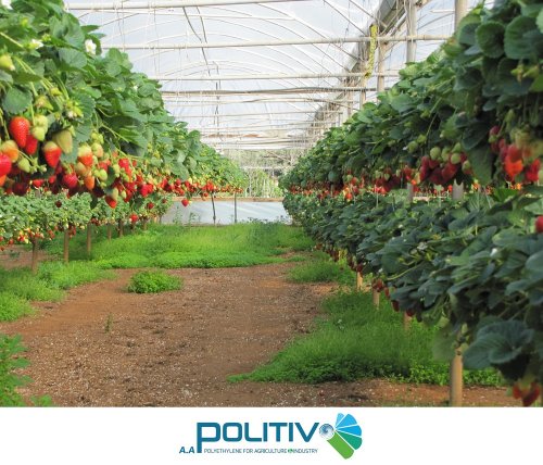 màng nhà kính politiv.jpg
