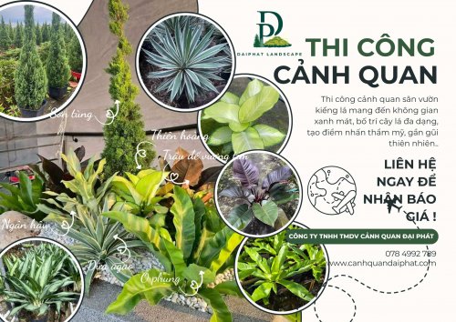 thiết kế thi công tiểu cảnh sân vườn 040226 1.jpg