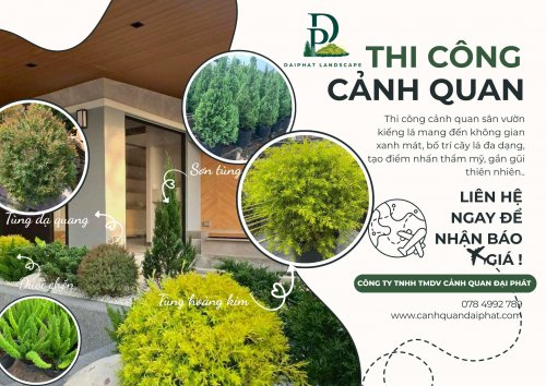 thiết kế thi công tiểu cảnh sân vườn 040226 2.jpg