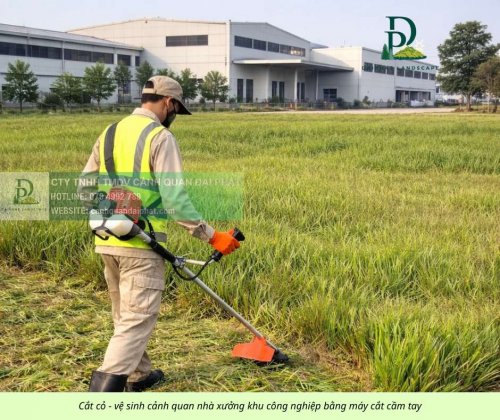 Cắt cỏ phát hoang công ty nhà xưởng 080226 2.jpg
