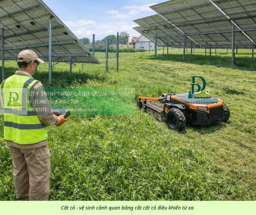 Cắt cỏ phát hoang công ty nhà xưởng máy cắt cỏ điều khiển từ xa 080226 2.jpg