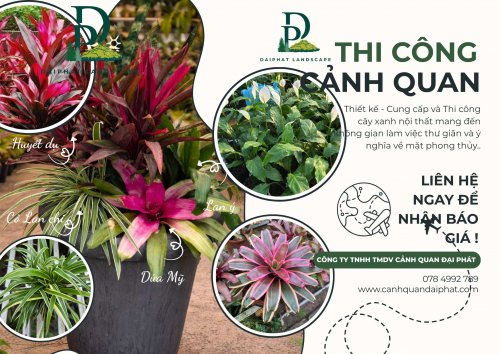 Thiết kế Thi công cây xanh văn phòng quán cafe 120226 2.jpg