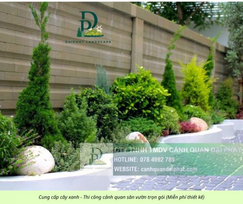 Cung cấp cây xanh - Thi công cảnh quan sân vườn trọn gói 080326 (Miễn phí thiết kế) 6.jpg