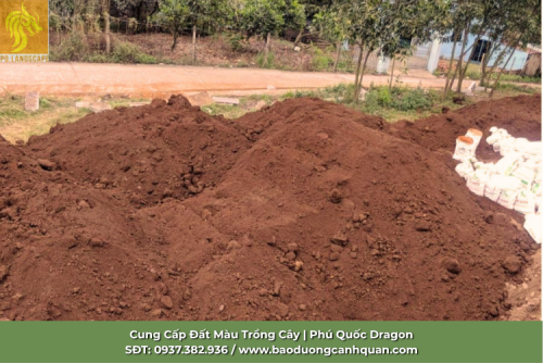cung-cap-dat-mau-dong-nai-so-luong-lon.jpg.png