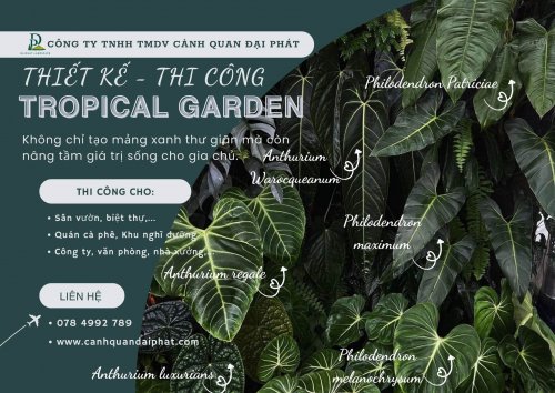 Thiết kế thi công sân vườn nhiệt đới 240426 3.jpg