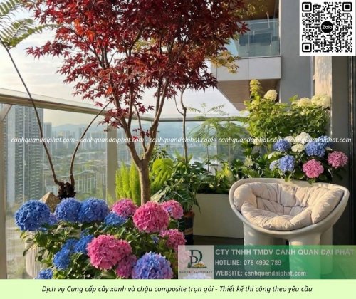 Thiết kế thi công cảnh quan chậu Composite 01052026 1.jpg