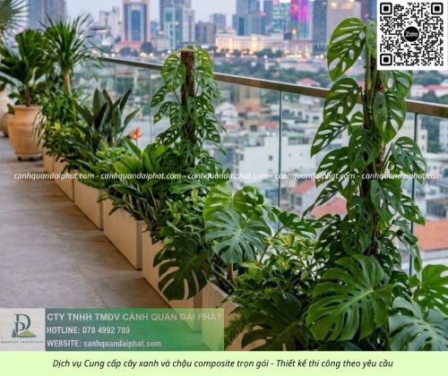 Thiết kế thi công cảnh quan chậu Composite 01052026 4.jpg