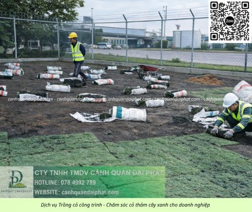 Trồng cỏ Đồng Nai 020526 1.jpg