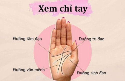 xem_chi_tay_nu_1_a7bd7c0908.jpg