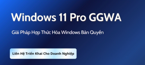 Win 11 Pro GGWA.png