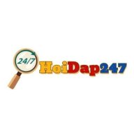 hoidap247co