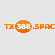 tx388space
