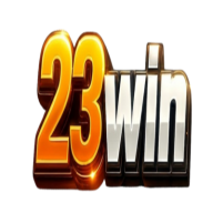 23Winsscom
