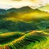 phanthanhphuc1988